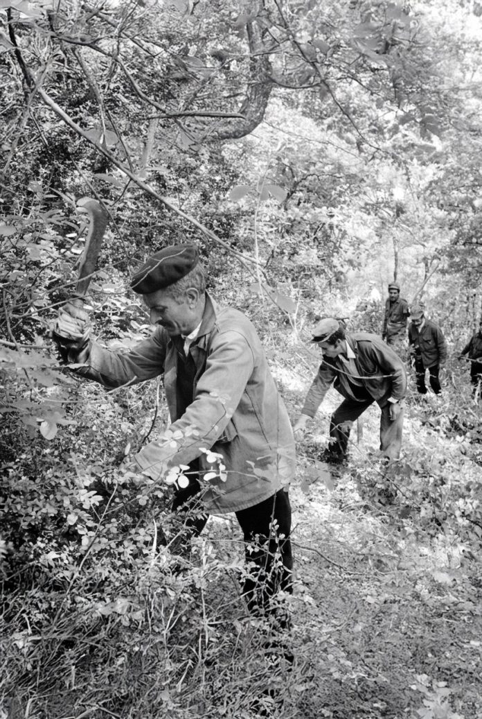 Harkis-apres-1962